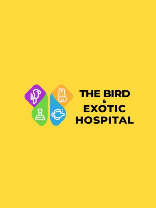 coming_soon_birdexoticvet