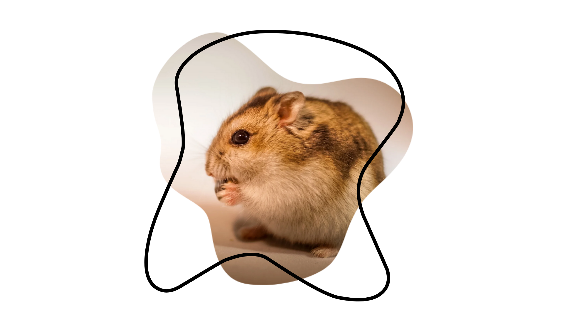 Exotic pet preventive care from a vet near me in Greenacres