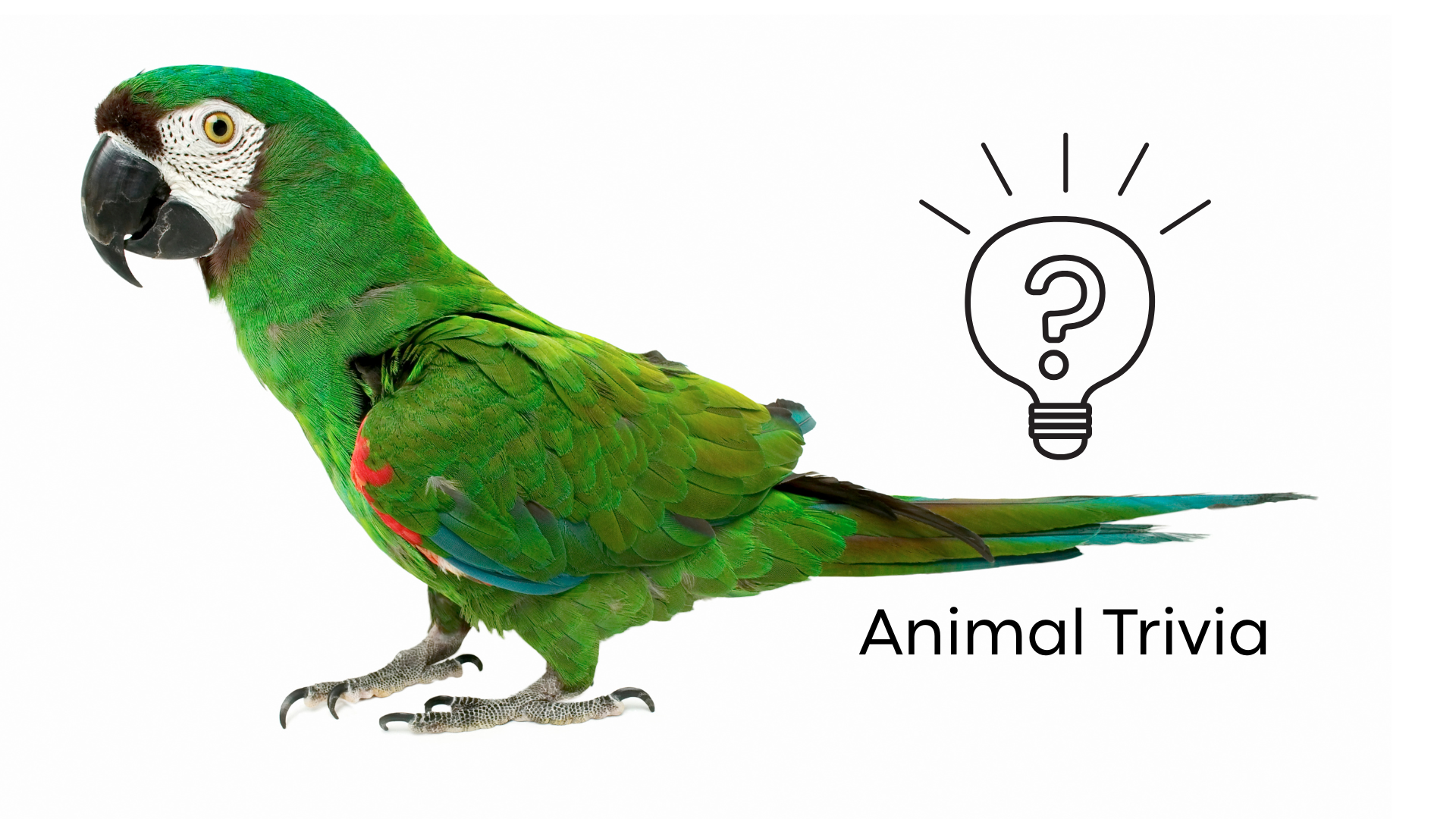 Exotic Pet Wellness Exam in Greenacres Exotic pet wellness exam at a vet near me in Greenacres