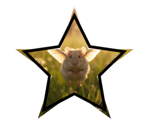 Hamster with wings representing misconceptions about exotic animal care