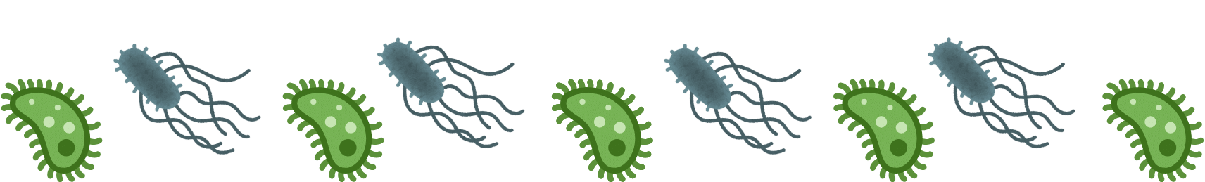 Pet parasites that need treatment from The Bird & Exotic Hospital