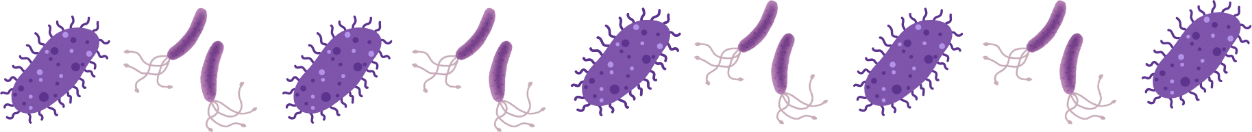 Animal parasites that show the need for parasite education from The Bird & Exotic Hospital in Greenacres, FL