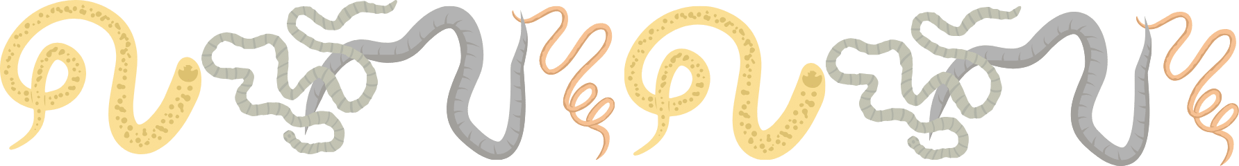 Intestinal worms representing pet parasites in Greenacres, FL