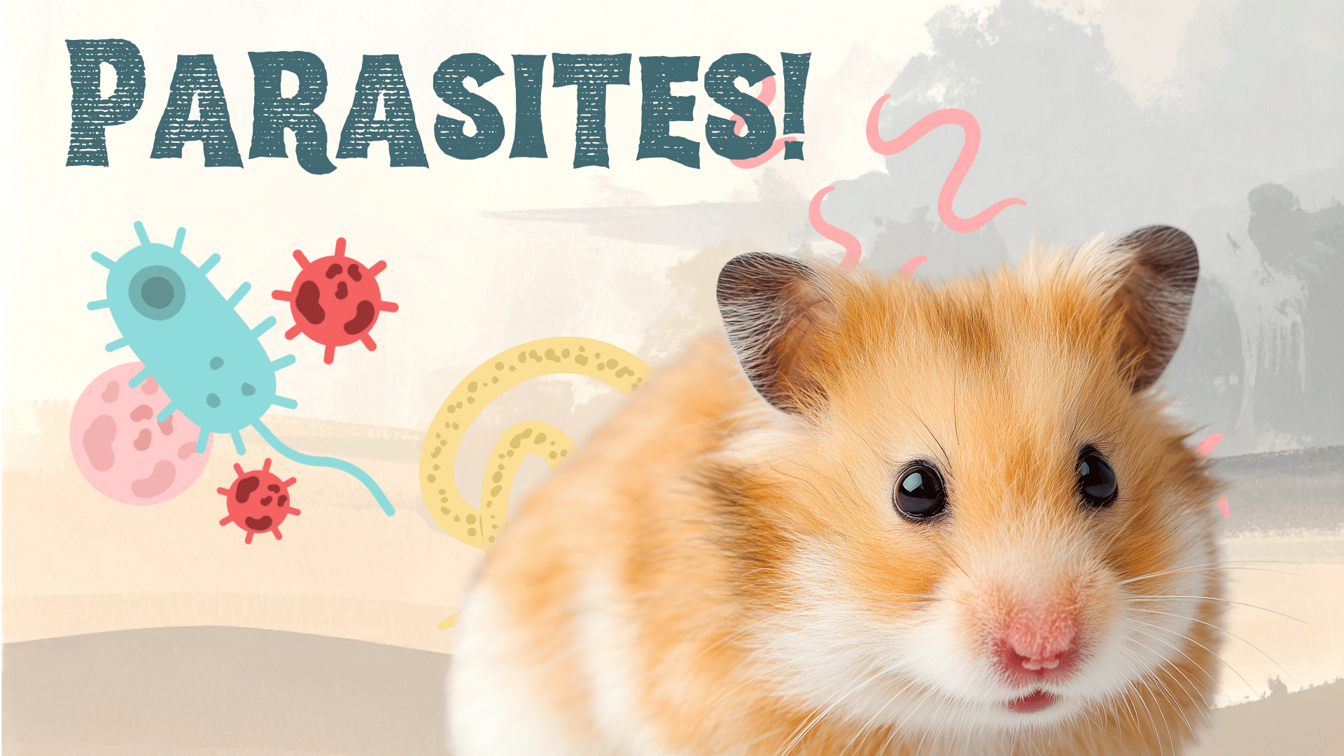 Hamster surrounded by parasites in Greenacres, FL